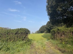 Images for Puddletown Road, Wareham