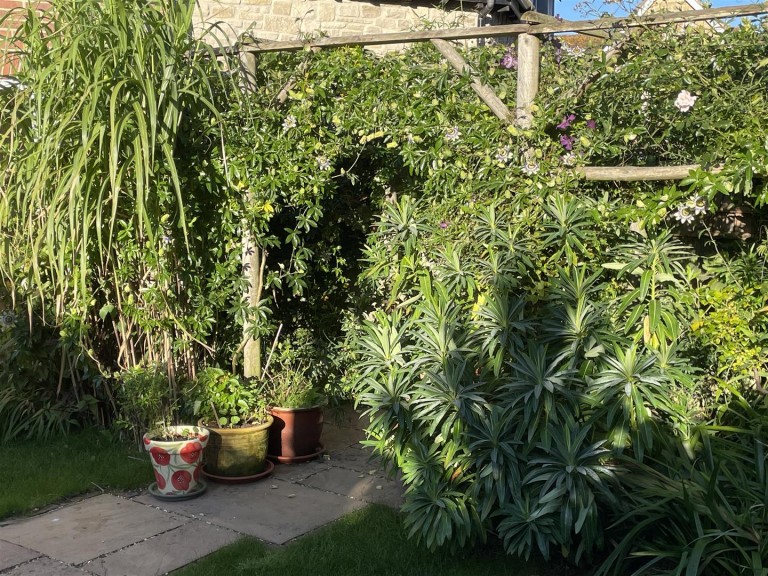Images for Thread Mill Lane, Pymore, Bridport