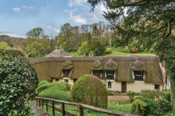 Images for Milton Abbas, Blandford Forum