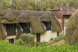 Images for Milton Abbas, Blandford Forum
