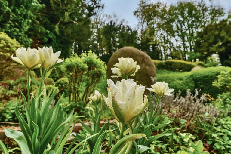 Images for Milton Abbas, Blandford Forum