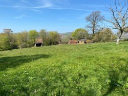Images for Bradninch