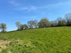 Images for Bradninch
