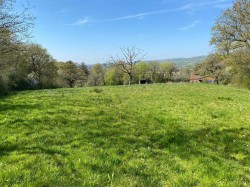 Images for Bradninch