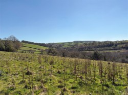 Images for Frogwell Road, Callington