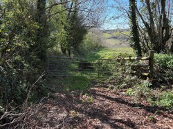 Images for Frogwell Road, Callington