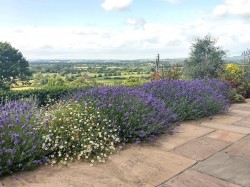 Images for The Beacon, Ilminster