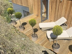 Images for Wolverwood Lane, Plympton, Plymouth