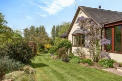 Images for Stawley, Wellington