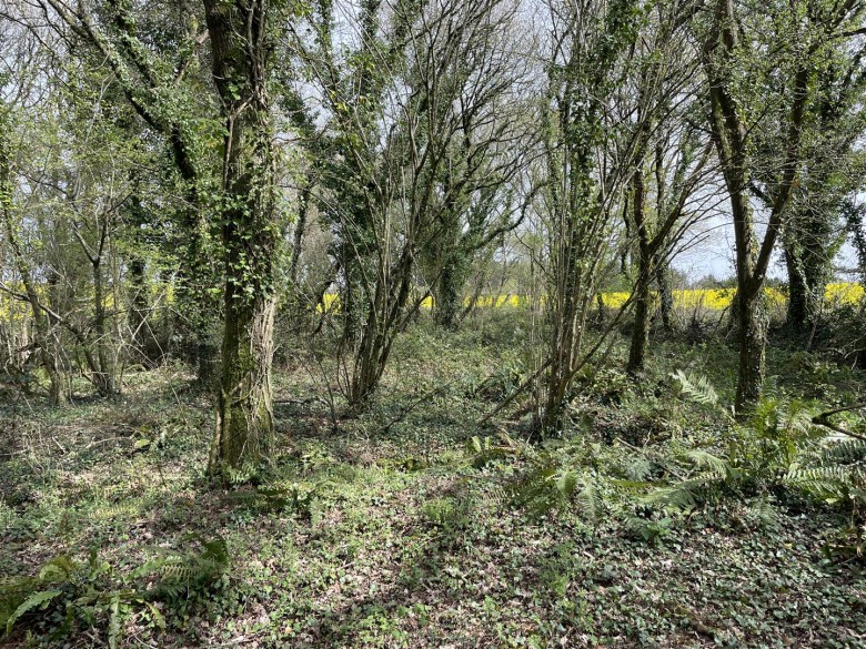 Click the photo for more details of Bishops Tawton, Barnstaple