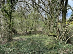 Images for Bishops Tawton, Barnstaple