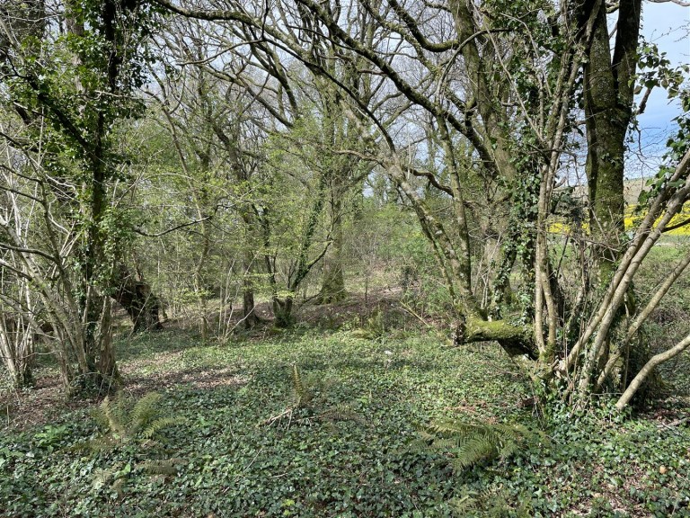 Images for Bishops Tawton, Barnstaple