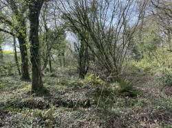 Images for Bishops Tawton, Barnstaple