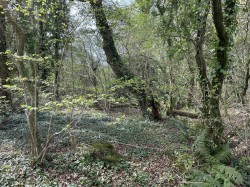 Images for Bishops Tawton, Barnstaple