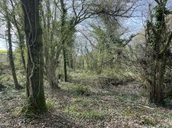 Images for Bishops Tawton, Barnstaple
