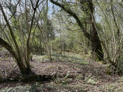 Images for Bishops Tawton, Barnstaple