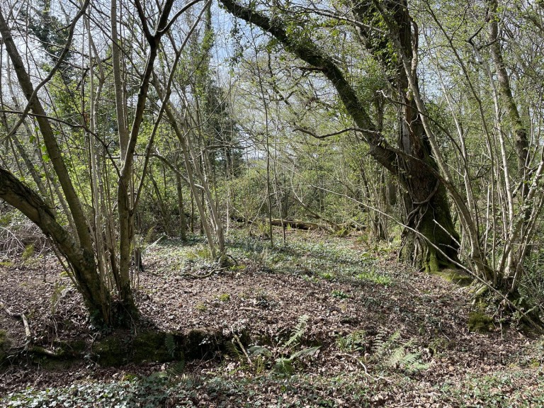 Images for Bishops Tawton, Barnstaple