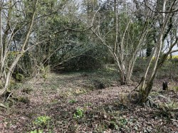 Images for Bishops Tawton, Barnstaple