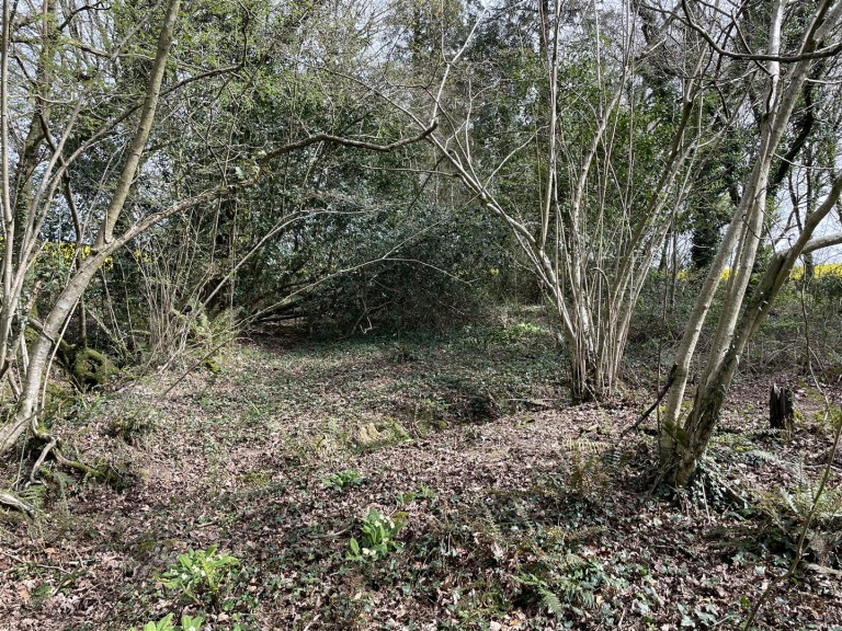 Images for Bishops Tawton, Barnstaple