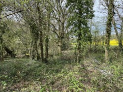 Images for Bishops Tawton, Barnstaple