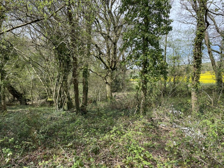 Images for Bishops Tawton, Barnstaple