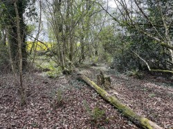 Images for Bishops Tawton, Barnstaple