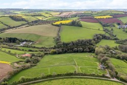 Images for South Brent