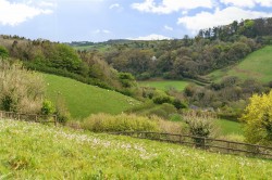 Images for South Brent