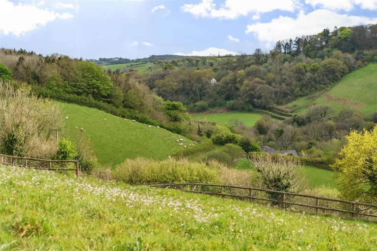 Images for South Brent