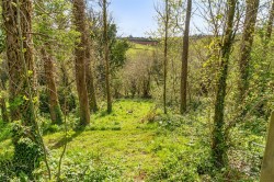 Images for South Brent
