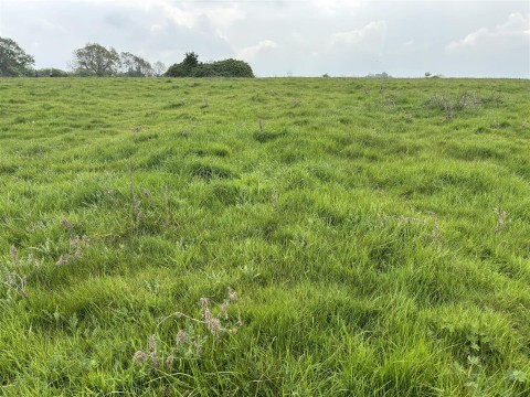 Click the photo for more details of Chilthorne Domer, Yeovil