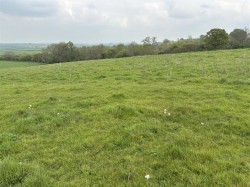 Images for Chilthorne Domer, Yeovil