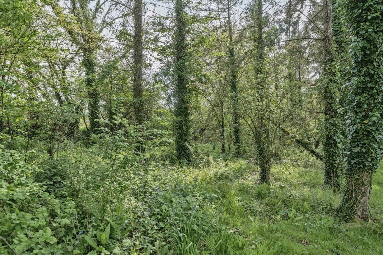 Images for East Coker, Yeovil