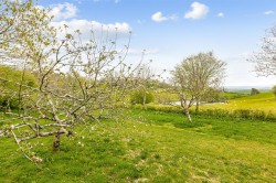 Images for Blackawton, Totnes