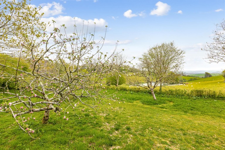 Images for Blackawton, Totnes