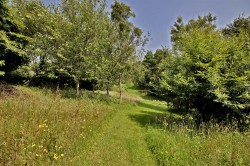 Images for Blackawton, Totnes