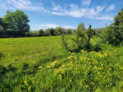 Images for Shortmoor, Beaminster