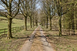 Images for Winsford, Minehead