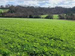 Images for Shillingford Abbot, Exeter
