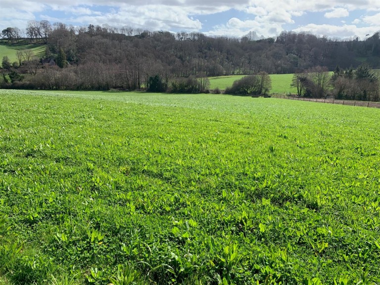Images for Shillingford Abbot, Exeter