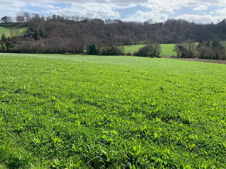 Click the photo for more details of Shillingford Abbot, Exeter
