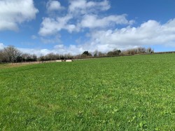 Images for Shillingford Abbot, Exeter