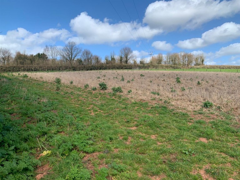 Images for Shillingford Abbot, Exeter