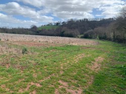 Images for Shillingford Abbot, Exeter