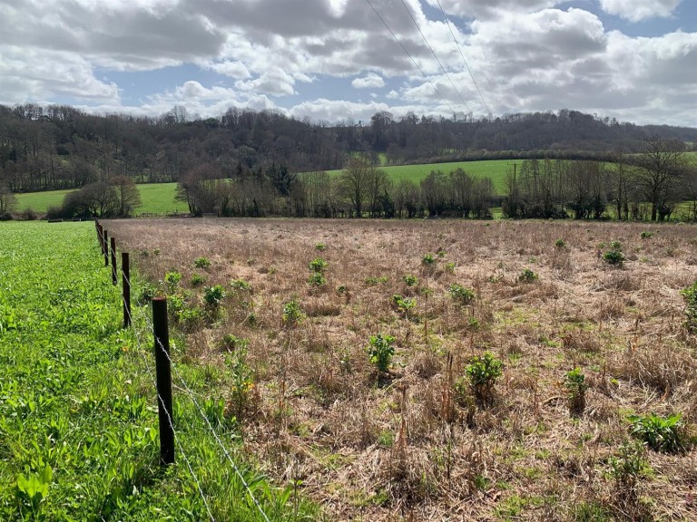 Images for Shillingford Abbot, Exeter