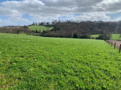 Images for Shillingford Abbot, Exeter