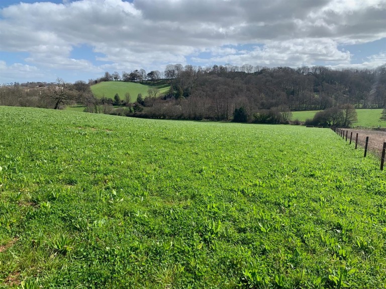 Images for Shillingford Abbot, Exeter