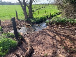 Images for Shillingford Abbot, Exeter