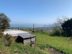 Images for Teignmouth