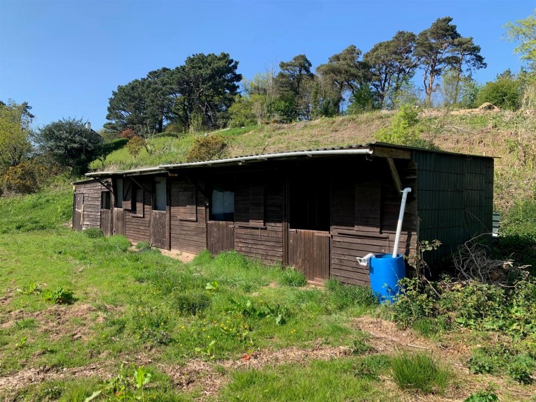 Images for Teignmouth